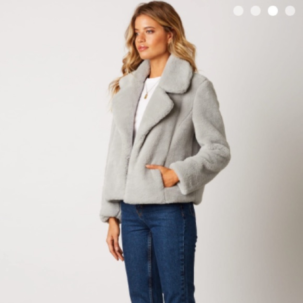Gray Faux Fur Coat - Picture 2 of 6